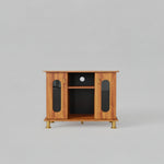 Compact Wooden TV Unit